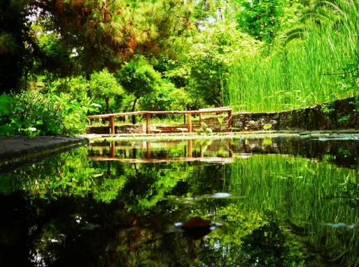 Βοτανικός Κήπος Διομήδους