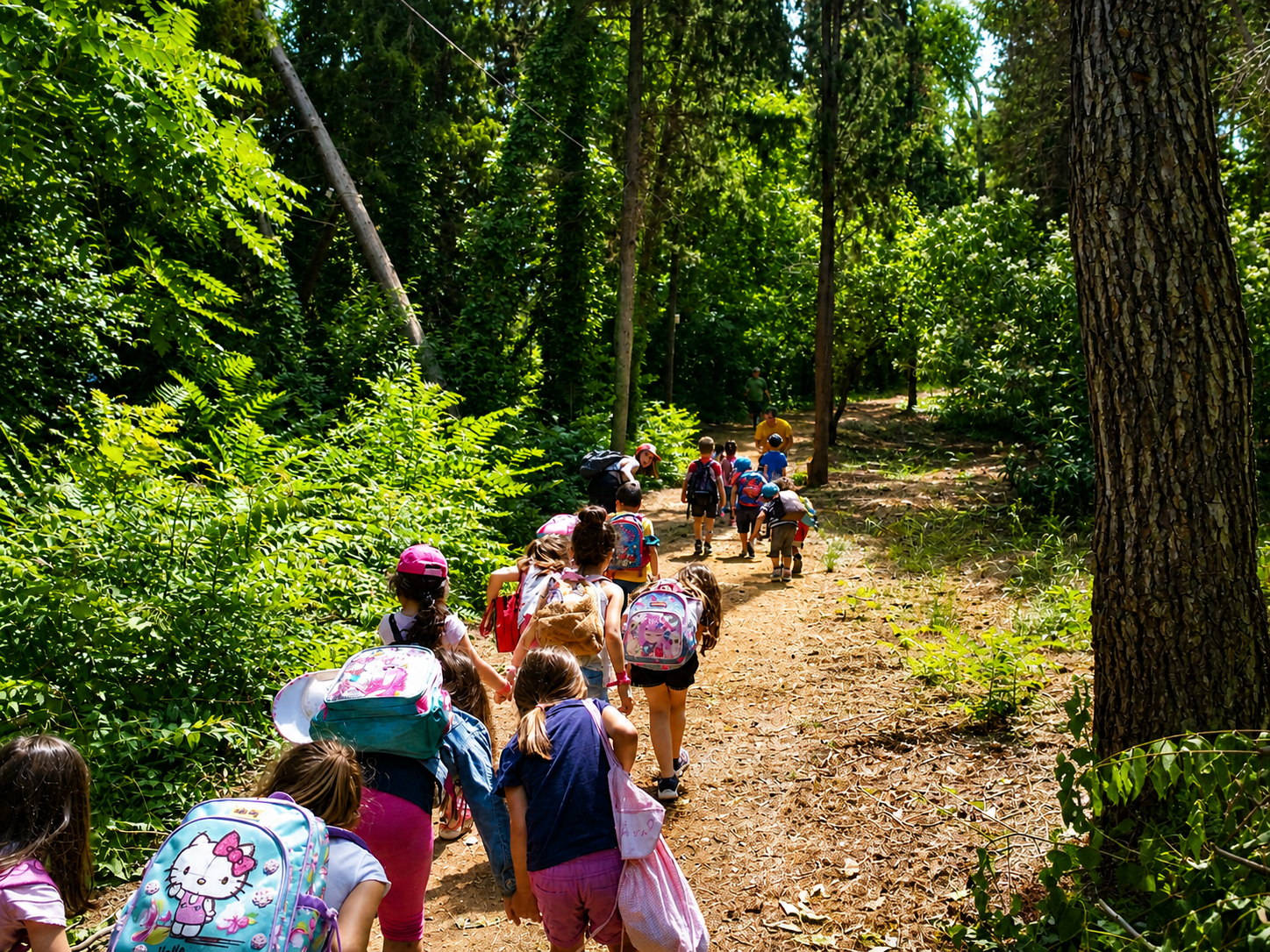 Παιδιά στο summer camp μέσα στη φύση