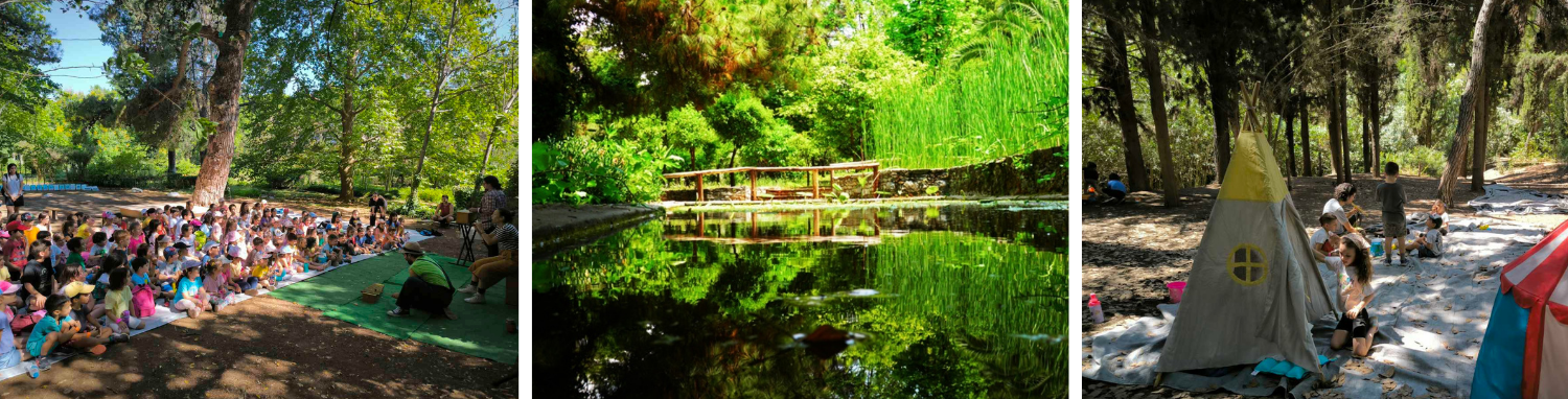 photosumercampmorfesekfrasis1